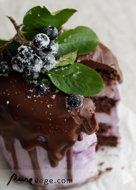 [1Chocolatecake2.jpg]