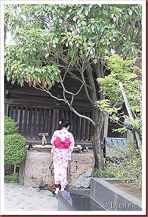 IMG_3333 IMG_3333