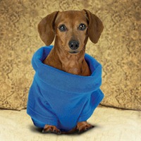 ALLSTAR PRODUCTS GROUP SNUGGIE FOR DOGS