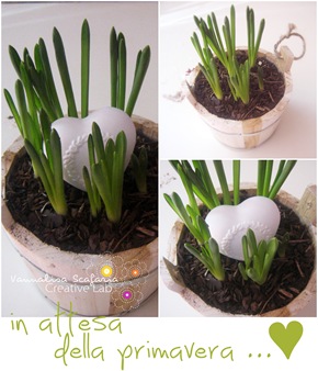 bulbs_vannalisascafaria