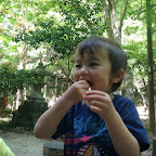 くれよん京都 5月133.jpg