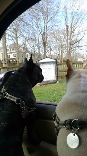 Francesca, do you think we could go on a ghost tour of Belcourt Castle?  The French-Rennaisance home is supposed to be haunted—especially the spooky Gothic Ballroom!
