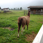 DSC05250.JPG