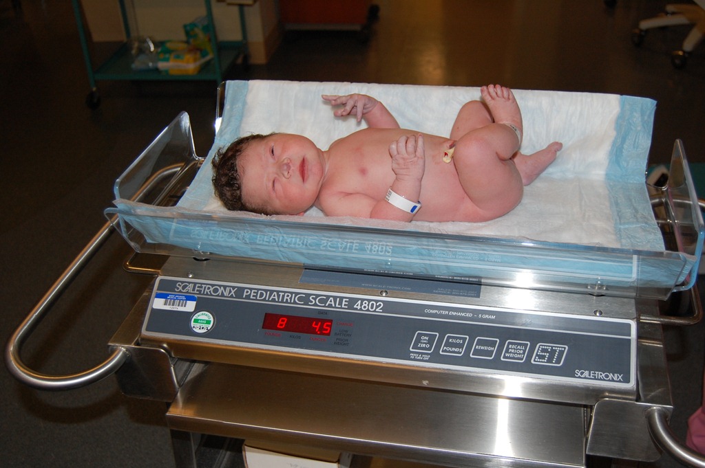 [Scarlett%2527s%2520arrival%2520031%255B5%255D.jpg]