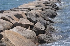 DSC_0580.JPG