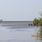 IMG_5663.JPG