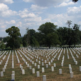 Rows of Graves at Arlington
