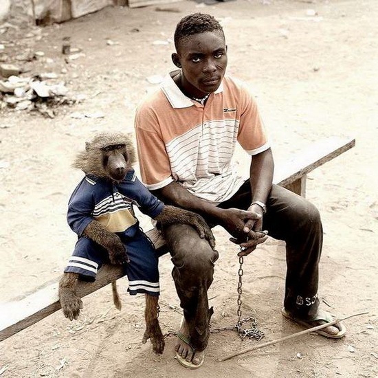 animals-and-humans_01