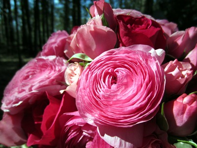 Pink Wedding Bouquet Ideas in Bloom