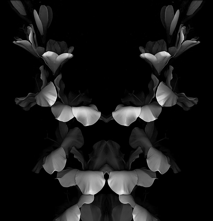 [Rorschach-Bouquet---flowers-0026.jpg]