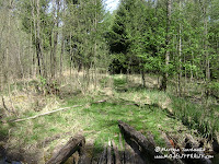 dsc06269.jpg