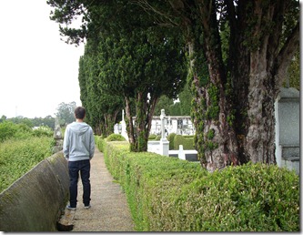 DSCN0815 DSCN0815