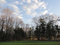 DSC03185.JPG