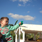 DSC09657.JPG