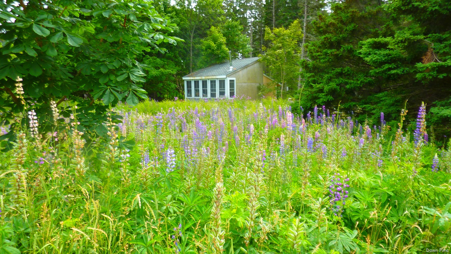 [Acadia%2520National%2520Park_156%255B3%255D.jpg]
