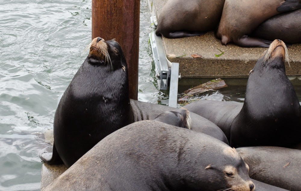 [DSC_0037%255B4%255D.jpg]