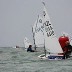 IMG_1751_markus.JPG
