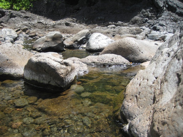 [IMG_2623%255B3%255D.jpg]