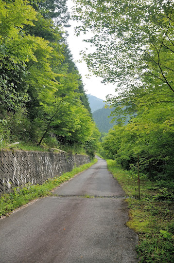 林道を歩く