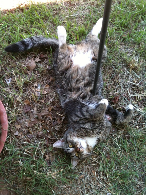 [IMG_2163%255B5%255D.jpg]