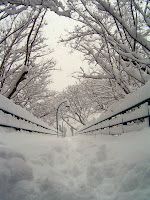 More snow