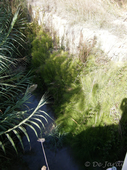 2012_10090019.jpg