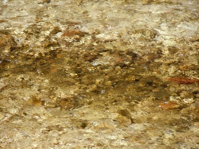 DSCN3854.jpg