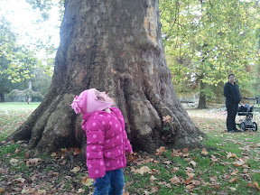 2010-10-23 11.28.22.jpg