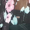 vep in frankenau 096.jpg