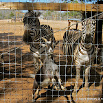 IMG_0648.JPG