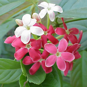 [image%255B74%255D.png]