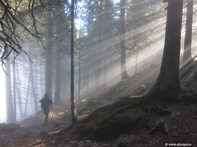 Creasta Nordica a Pietrei Craiului