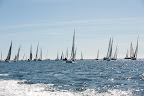 DSC_5719.jpg