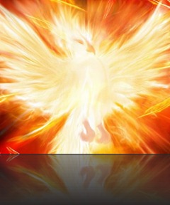 El_Fenix El_Fenix