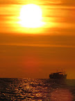 IMG_1079.JPG