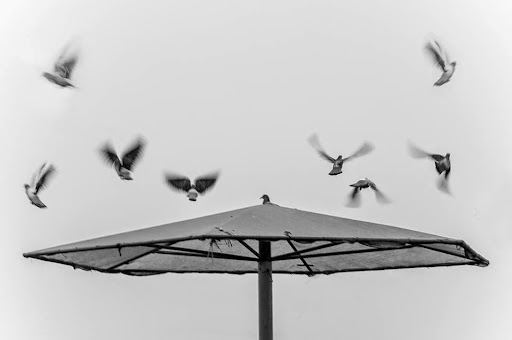 03 10850673_611372655634505_1522445643_n.jpg