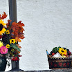 DSC_0163.JPG