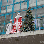 IMG_9954.JPG