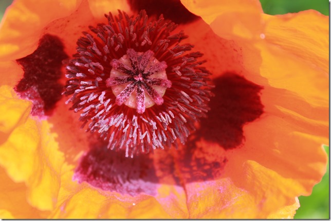 050