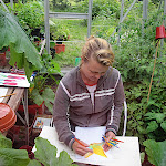 scotland_vegieplot_10 - 340.jpg