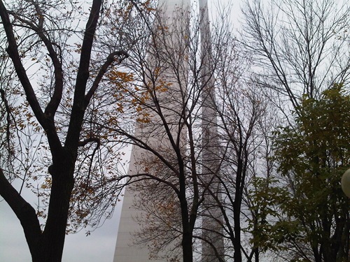 IMG00122-20091028-1216