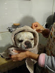 Cozy and happy!