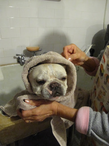 Cozy and happy!