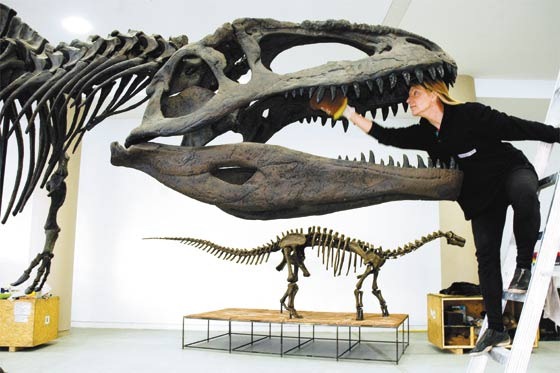 [dinosaurios%2520patagonia%255B4%255D.jpg]