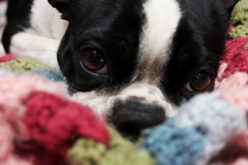 IMG_8504.JPG