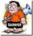 taxpayer
