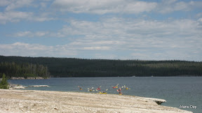 IMG_4157.jpg