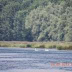 DSCN8188.JPG