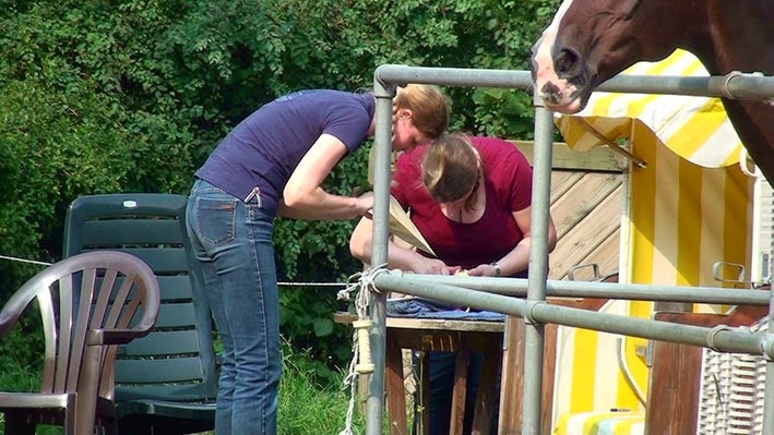 [20140905145025-%25281%2529%255B2%255D.jpg]