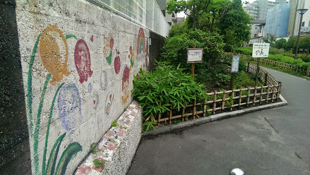 IMAG3542.jpg